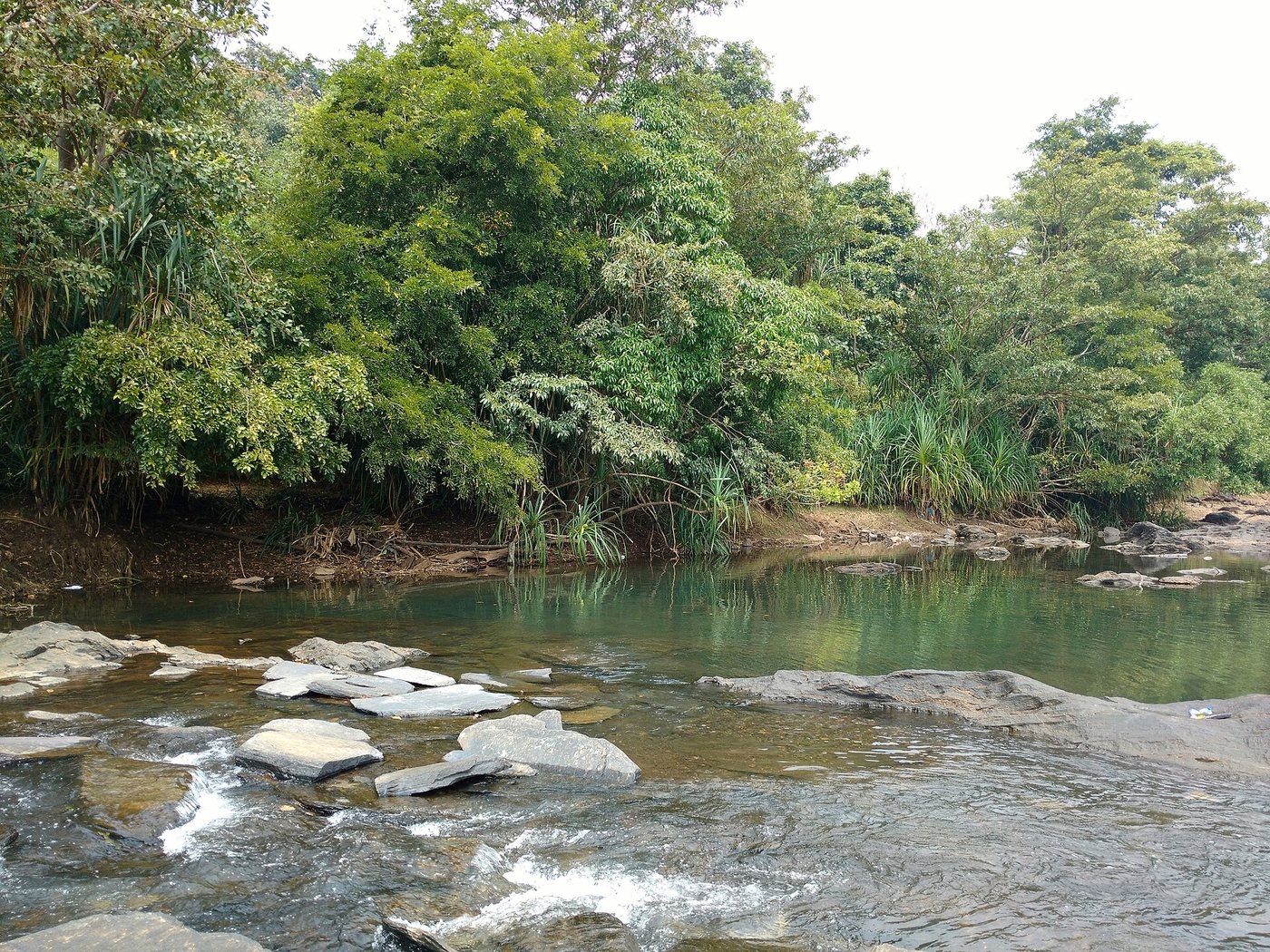 Moulangi Eco Park
